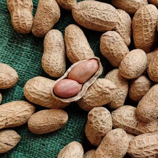 振南记带壳炒花生 商品图1