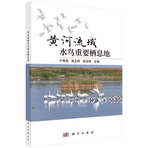 黄河流域水鸟重要栖息地 商品图0