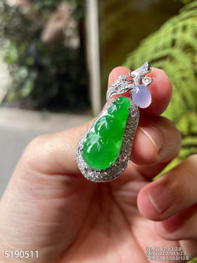 5190511，福豆吊坠。具体价格微信咨询