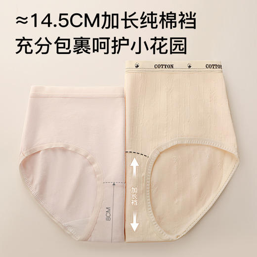 花影私藏 4条装(VIP)【10A抑菌】4条装100%纯棉抑菌裆女士内裤 商品图6
