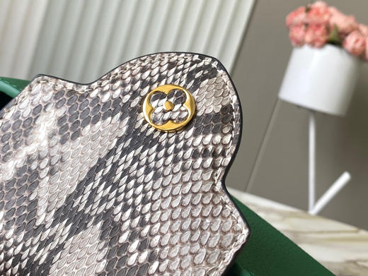 秋冬特惠💰1600 渠道级LV te级LV 全套包装 N99387/M48865绿 本款 Capucines 迷你号手袋 商品图4