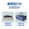 【云南L25蓝莓】无打蜡不催熟 绿色种植 孕妇儿童放心吃 400g 商品缩略图5