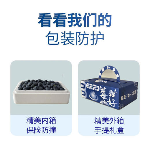 【云南L25蓝莓】无打蜡不催熟 绿色种植 孕妇儿童放心吃 400g 商品图5