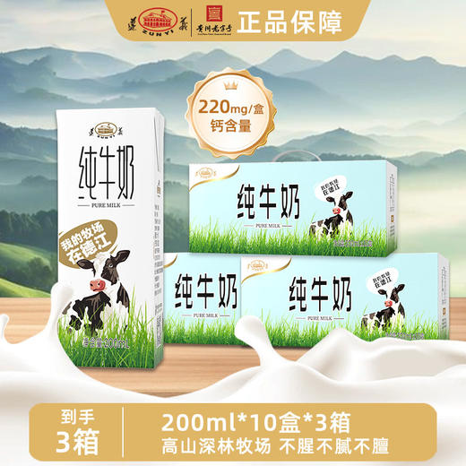 【皇氏乳业】遵义纯牛奶200ml*10盒/3箱 商品图0