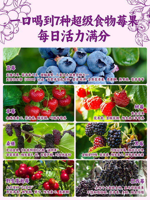 每日乔安·每日7莓原浆640ml配料干净不加1滴水 只有7种莓果 蓝莓草莓蔓越莓巴西莓树莓桑葚黑莓 商品图6
