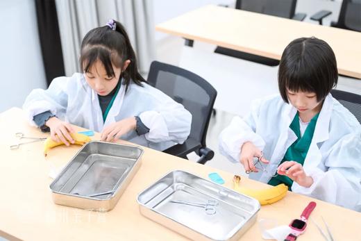 沉浸式医学探索【1日独立营】全新职业体验，适合7岁以上孩子！ 商品图1