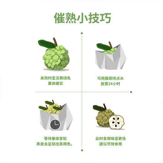 【凤梨释迦果】 果肉绵密如冰淇淋 凤梨奶香浓郁 入口即化  250-300g/350g 商品图1