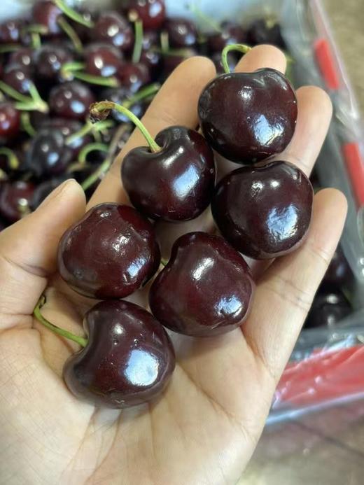 【进口】4JDD！超大，脆脆的好货，智利黑车，皮薄个大水份多，清甜可口好迷人！ 商品图4