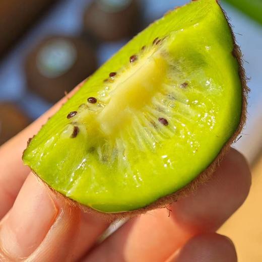 【即食瑞玉猕猴桃】无需等待，到手即食稀缺品种，比翠香还要高端的绿心猕猴桃，陕西周至树熟品质，到手削皮即食，爆甜无酸，果肉醇厚入口化渣，产地直发，都是新鲜下树的果子，新鲜，嫩甜~ 商品图5