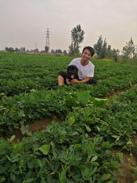 振南记带壳炒花生 商品图5