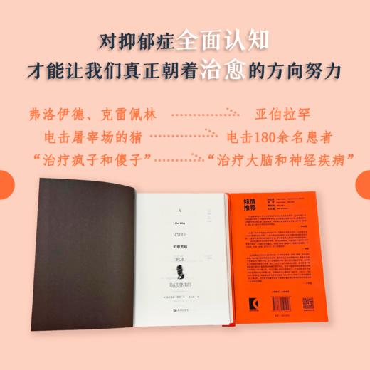 【樊登好书】治愈黑暗 商品图0