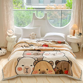 【广东省省被】双层加厚拉舍尔毛毯 柔软亲肤蓄热保暖