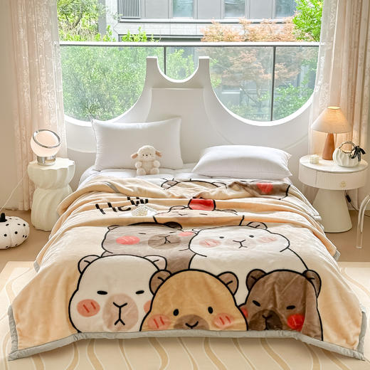 【广东省省被】双层加厚拉舍尔毛毯 柔软亲肤蓄热保暖 商品图0