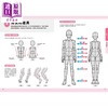 预售 【中商原版】让角色动起来 人物姿势表现全攻略 港台艺术原版 KawaiiSensei 枫书坊出版 商品缩略图3