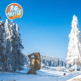 【穿越林海雪山】武隆仙女山国家森林公园·冬野徒步之旅