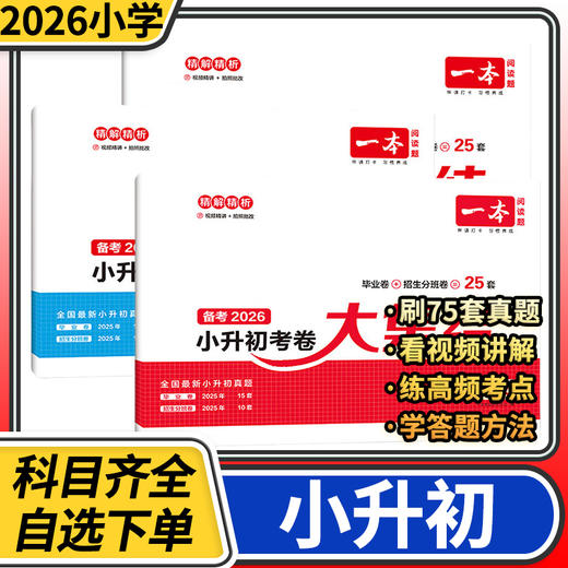 一本小升初考卷大集结小学毕业升学总复习试卷语文数学英语小升初真题试卷小学毕业升学考试模拟卷 商品图0