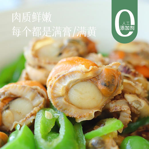 【扇贝肉】海的鲜味直达 大个扇贝 很实在~ 商品图0