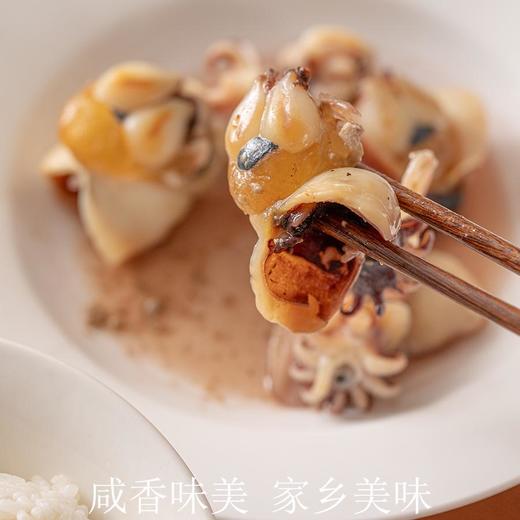 东海野生墨鱼宝 | 特级品质 舟山野生 鲜活捕捞 咸香美味 干净无沙 自然本味的鲜美 商品图2