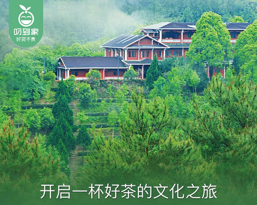 泉州安溪|华祥苑茶庄园商务房1间/1晚（周末不用补差）【叼生活】 商品图2