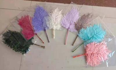 高山羊齿-永生花 商品图0