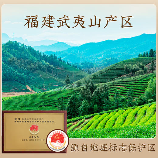 【韵纳山意】去寻金骏眉礼盒60g武夷山出品去寻特级蜜香金骏眉红茶礼盒 武夷山特级金骏眉自己喝送领导送亲戚 商品图5