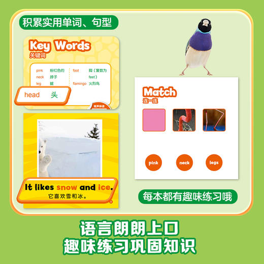 猜猜他是谁（双语版） 商品图1