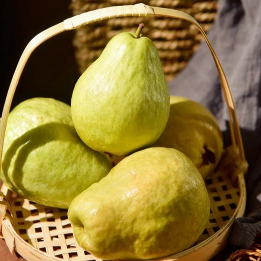 疯抢中！！现摘现发【中国台湾改良版·红心奶油芭乐】营养丰富 果肉软糯 柔嫩多汁 精美包装/礼盒装 商品图3