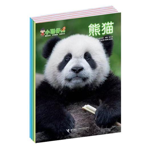 《小聪仔科普版》| 48-172 | 月刊 | 2026年全年订阅（不可退订） 商品图0