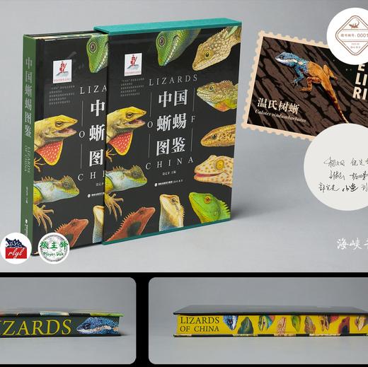 《中国蜥蜴图鉴》限定特装版特别版 海峡书局 顽主驿【官方正版 48小时发货】 商品图1