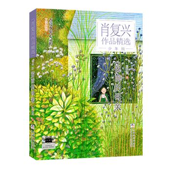 窗前的母亲 百班千人71期五年级5年级名师推荐课外书必读正版授权 商品图1