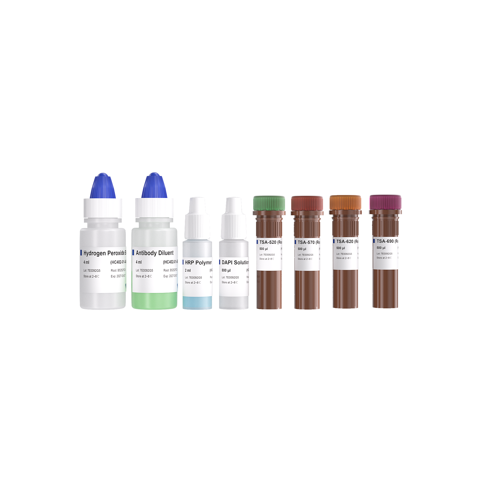 5-Color TSA IHC Kit（Ready-to-use）