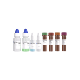 5-Color TSA IHC Kit（Ready-to-use）