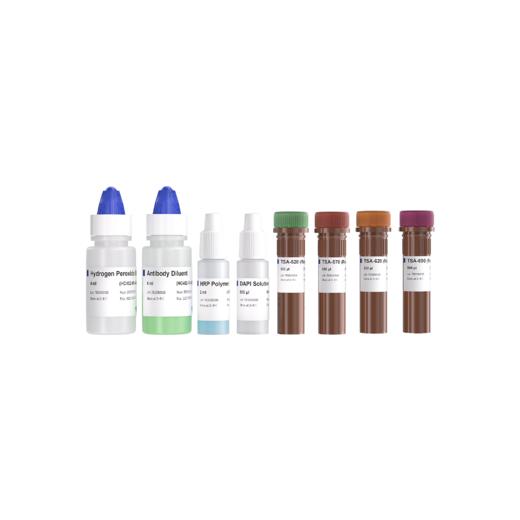 5-Color TSA IHC Kit（Ready-to-use） 商品图0
