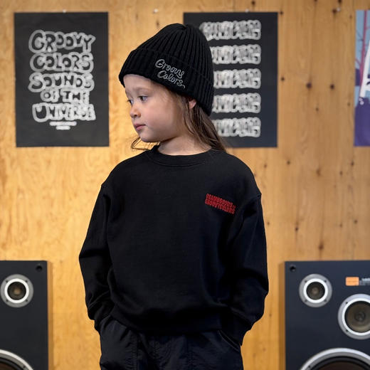 日本GC童装 Groovycolors 原田治运动衫卫衣 商品图4