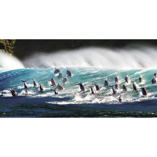 《蓝色星球Ⅱ》（全8册） 商品图7