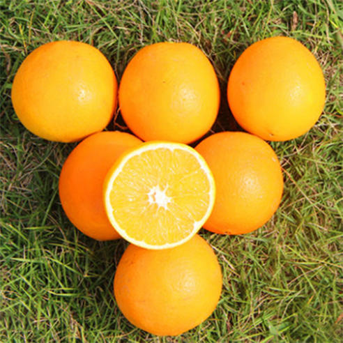 赣南脐橙｜信丰安西·脐橙源头产区  果肉脆嫩，汁多化渣（即果肉纤维少，入口即化） 商品图1