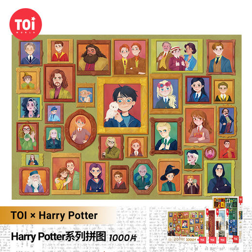 TOI图益拼图哈利波特成人版1000片减压解闷平面减压手工玩具照片墙 商品图0