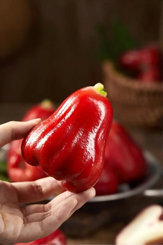 【顺丰空运】正宗当季海南黑金刚莲雾新鲜热带水果 商品图5