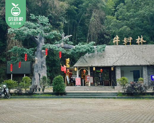 泉州永春|牛姆林青柳钱山庄轻奢房1间/1晚（周末不用补差）【叼生活】 商品图2