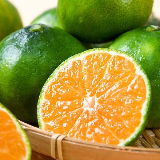 东江湖蜜桔 900g/份 商品图4