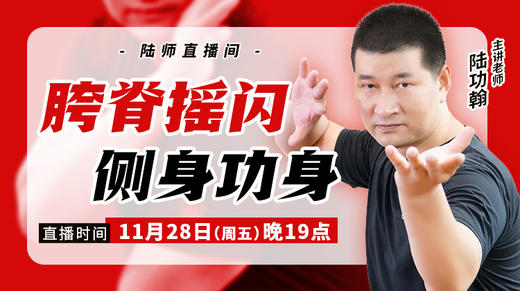 【11月28日】胯脊摇闪  侧身功身 商品图0