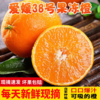 【顺丰发货】四川爱媛38号果冻橙 商品缩略图3