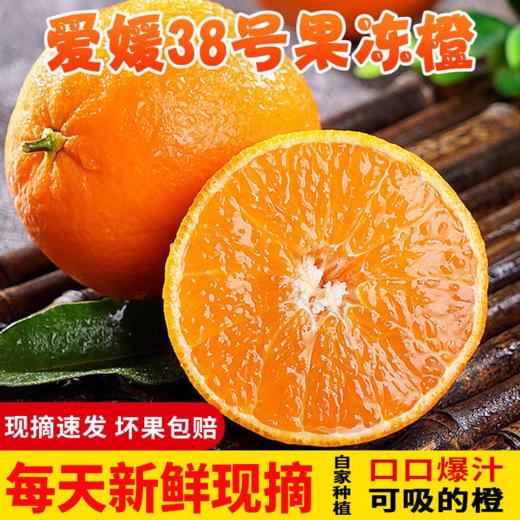 【顺丰发货】四川爱媛38号果冻橙 商品图3