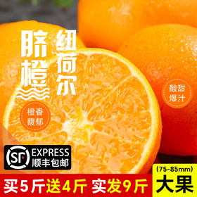 【买5斤送4斤，实发9斤大果】秭归脐橙 纽荷尔 大果 【顺丰包邮】橙味十足 肉质化渣 现摘现发 果园直供 酸甜可口