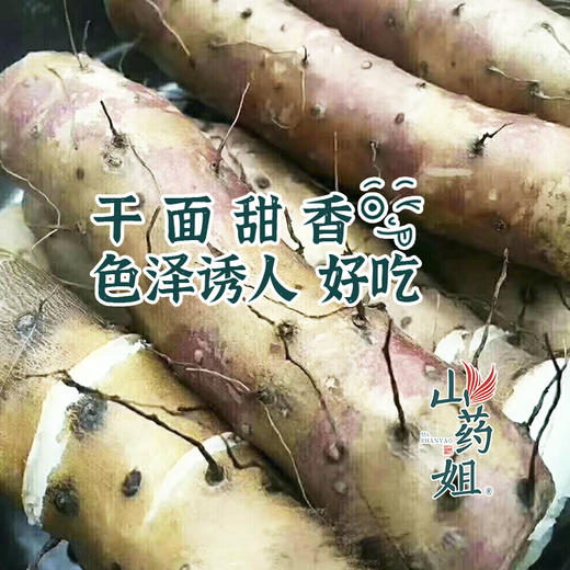 山药姐温县垆土铁棍山药 自有基地 人工采收 肉质洁白细腻 蒸煮炖营养健康 商品图2