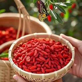 宁夏特优级红枸杞果香味浓 更营养