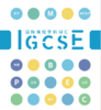 【双12拼团秒杀】IGCSE阶段必备词汇 商品缩略图0