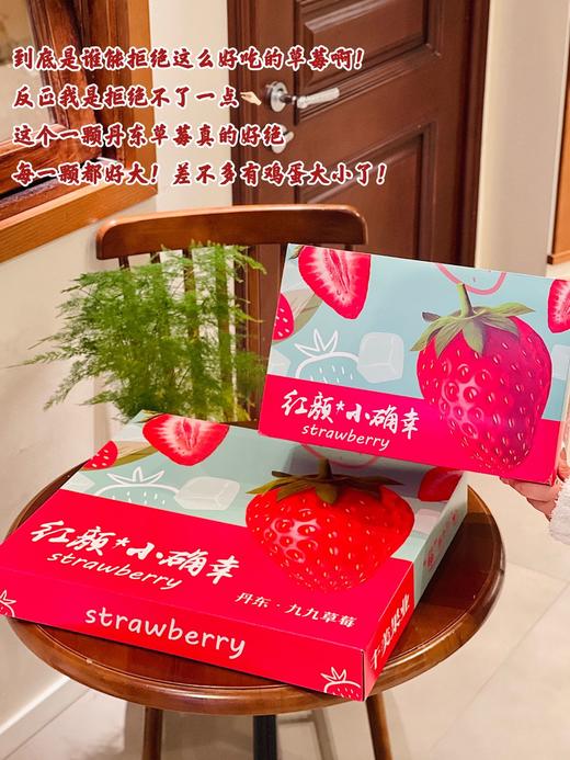 STRAWBERRY  丹东草莓 商品图2