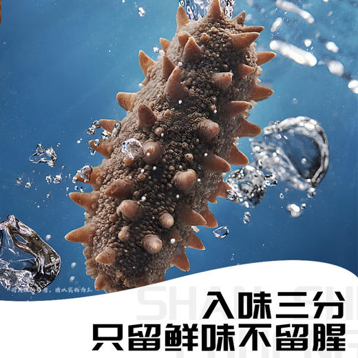 金汤小米辽参 | 甄选优质辽参小米 深海珍品与养胃谷物的鲜醇滋补 即享高端养生体验 商品图1