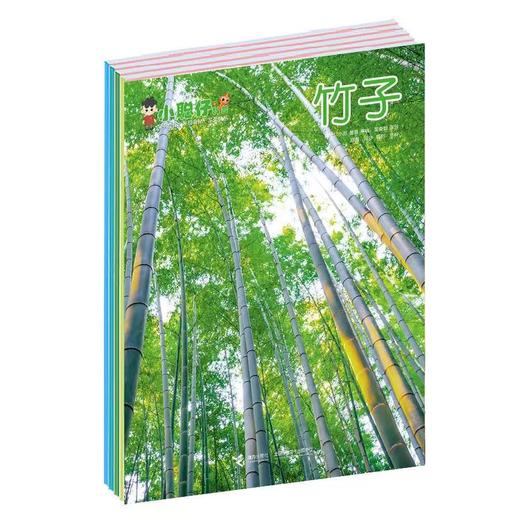 《小聪仔科普版》| 48-172 | 月刊 | 2026年全年订阅（不可退订） 商品图1